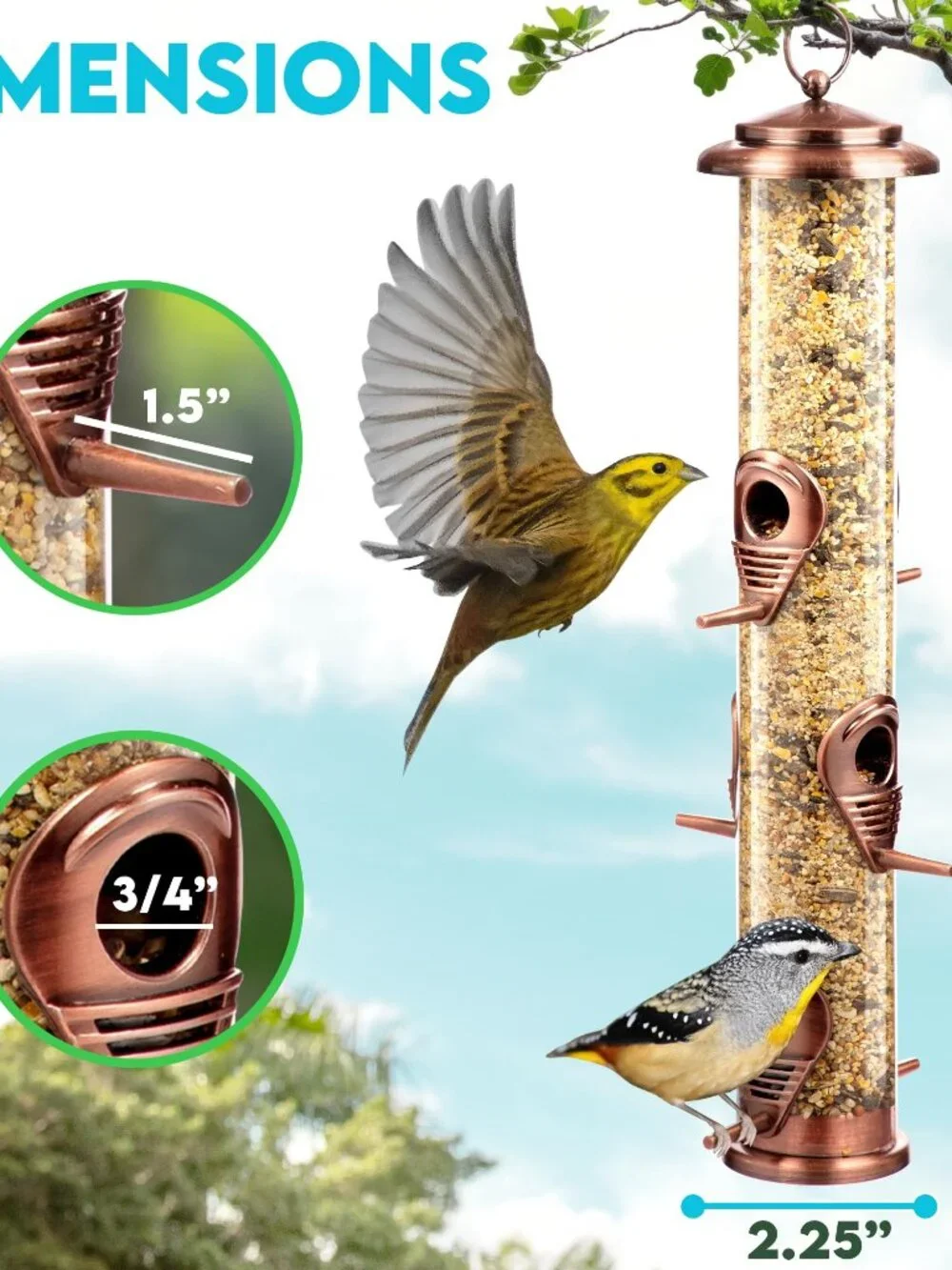 N/A bird feeders